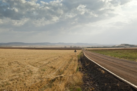 Road in an agricultural landscape in Ciudad Real Province, Spain