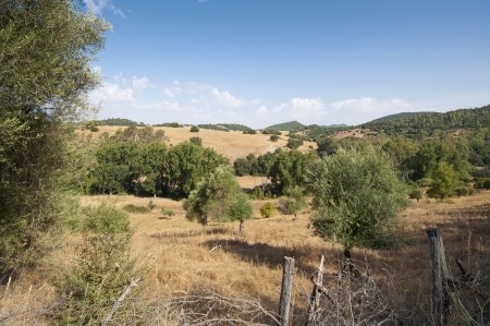 Views of Andalusian countryside from El Bosque town, Cadiz, Spain の写真素材