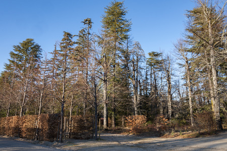 Gardens of the Royal Palace of La Granja de San Ildefonso, Segovia, Spain. It is an 18th-century palace in a restrained baroque style surrounded by extensive gardens in the French manner and sculptural fountainsのeditorial素材