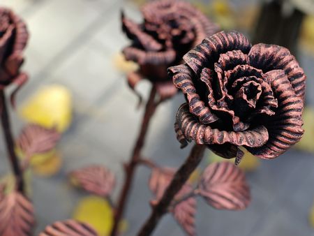 Forged Rosesの写真素材