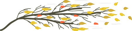 Autumn branch in the strong windのイラスト素材