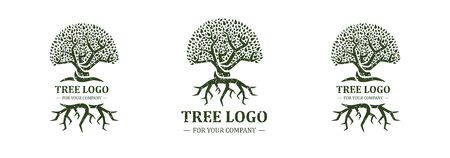 Tree logo isolated on a white background. Classic design. Green and brown colors. Lettering. Space for text. Leaves and roots. Simple modern concept. Circle form. Flat style vector illustration.のイラスト素材