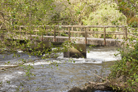 Mountain river in the nord of Spain.
