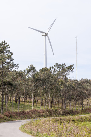 farm windmills in nature with sky background