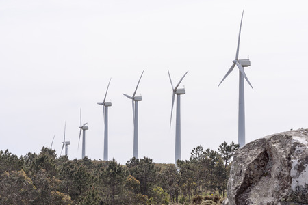 farm windmills in nature with sky background