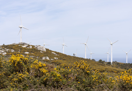 farm windmills in nature with sky backgroundの写真素材