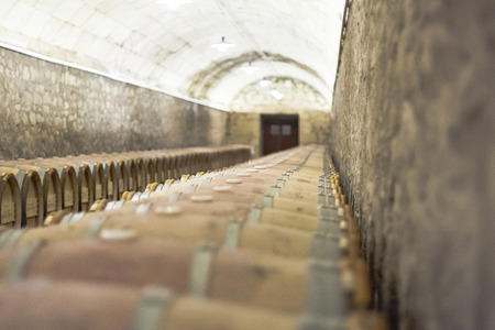 Wine barrels stacked in wineryの写真素材