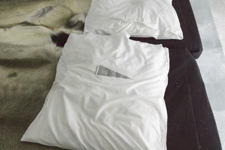 Icehotel in jukkasjarviÃ§. Kiruna. Lapland.Swedenのeditorial素材