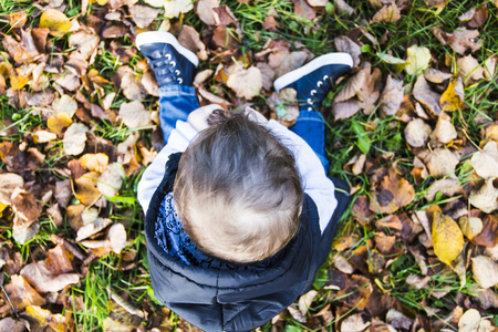 A baby playing in the grass among dry leaves in autumnの写真素材