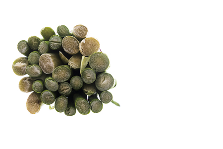 A bunch of green asparagus on isolated white backgroundの写真素材