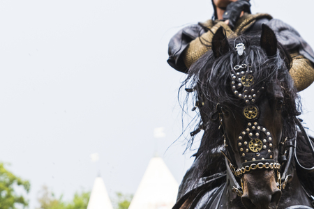 Medieval tournament with knights, performances, shows, food and drink typical of the area in Kaltenber, Germany.のeditorial素材