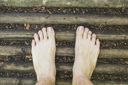 barefoot aerial view on wood surface in the forestの写真素材