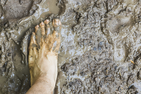 barefoot aerial view on mud surface in the forestの写真素材