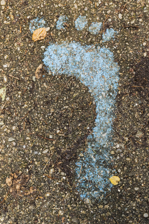 A Blue footprint signs on the floor in the forest for pedestrian. Symbol of walkway.の写真素材
