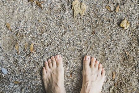 Barefoot aerial view on stone surface in the forestの写真素材