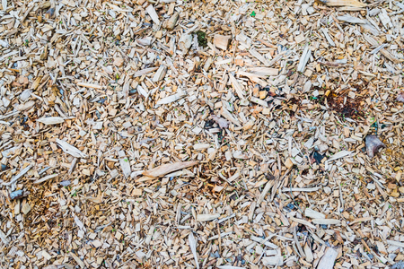 logs wooden as a background and natural textureの写真素材