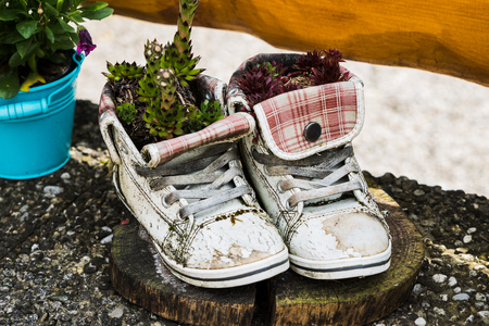 Flower pot of old and used slippers with flowersの写真素材