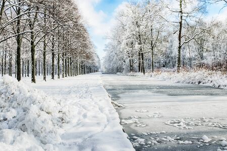 Snowy path into several trees in the forest