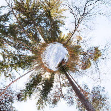 Little Planet in the forest with blue Sky