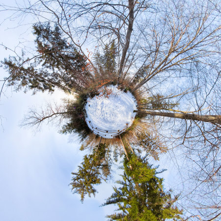 Little Planet in the forest with blue Skyの写真素材