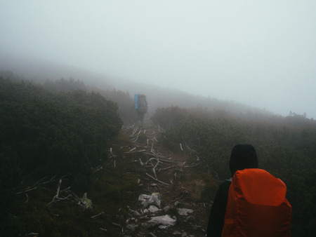 Tourists travelers with backpacks walking through the dark wood in thick mist of milk. Poor visibility and easy to get lost.の写真素材
