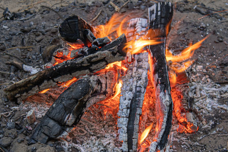 Bonfire in a tourist camp in nature. Flame, fire and sparks.の写真素材