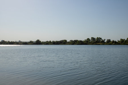 Summer green coast river view.の写真素材