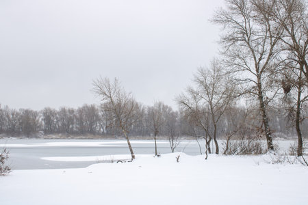 Winter landscape with fair trees. The river froze and covered with ice.の写真素材