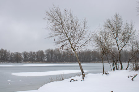 Winter landscape with fair trees. The river froze and covered with ice.の写真素材