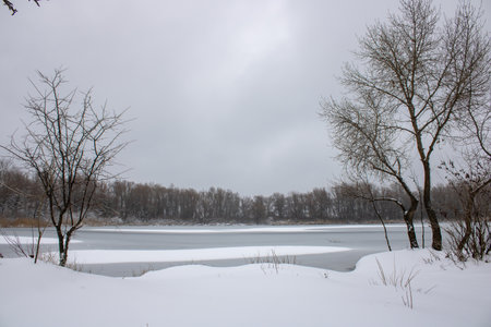 Winter landscape with fair trees. The river froze and covered with ice.の写真素材