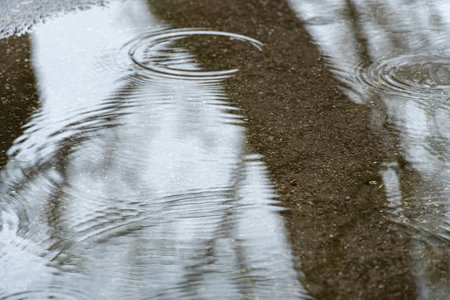 Raindrops on surface puddle in street road. Rain fall and leaving circles on water. Dark silhouettes of trees reflection in transparent puddle. Splashing leaving on surface ripple.の写真素材