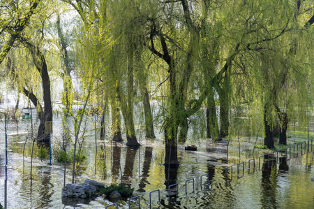 Flood on bank river in spring time. Water filled play and sport grounds in city. Overflowed bank with sunken trees. Bottling shoreline flow and natural disaster. Climate change.の写真素材