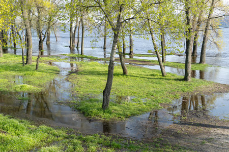 Flood river in spring time. Overflowed river bank in city. Water filled bank with sunken trees. Bottling shoreline flow and natural disaster. Climate change and ecological problem.の写真素材