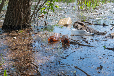 Garbage dump in forest scattered in river. Plastic trash in the lake after picnic. People illegally...