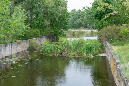 Support slabs along picturesque narrow river canal. Iron concrete reinforced pier from one bank of water to other. Trees bushes and reeds grow along empty pedestrian. Reflectionの写真素材