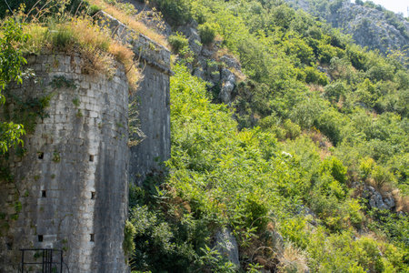 Ancient fortress on background of famous tourist town Kotor Bay mountains Montenegro. Old fortress...