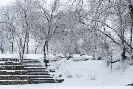 Snow-covered stone staircase leading through winter landscape. Snowy park and steep stair in park...