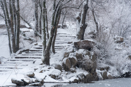Snow-covered stone staircase leading through winter landscape. Snowy park and steep stair in park after heavy snowfall. Frosty pathway in descent in cold weather. Depicts winterの写真素材