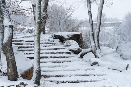 Snow-covered stone staircase leading through winter landscape. Snowy park and steep stair in park after heavy snowfall. Frosty pathway in descent in cold weather. Depicts winterの写真素材