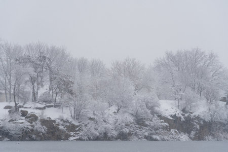 Calm winter lake snow covered ice on hill and surrounded by trees. Panoramic landscape with snowy...