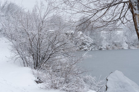 Calm winter lake snow covered ice on hill and surrounded by trees. Panoramic landscape with snowy trees and frozen water. Cold weather of  and new year. Frosty snowy riverの写真素材