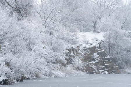 Calm winter lake snow covered ice on hill and surrounded by trees. Panoramic landscape with snowy...
