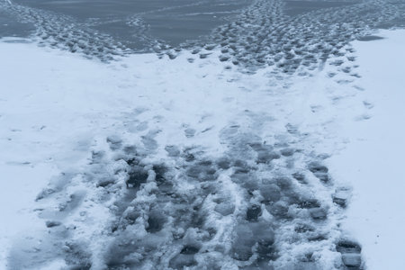Melting of cold water and ice in river in early spring. Meltwater and white tones of ice contrast with the dark wave. Stream of snow in natural parkland.の写真素材