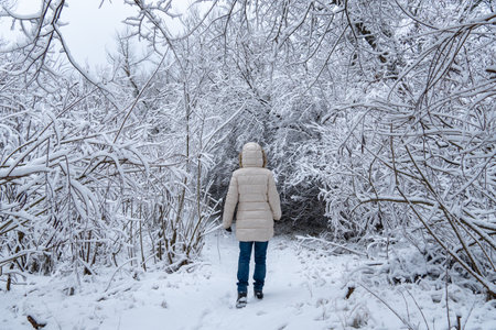Woman walking in covered snow in winter forest. Young mature adult trekking after snowfall on road surrounded by white trees. Middle aged person hiking on park in cold weather.の写真素材