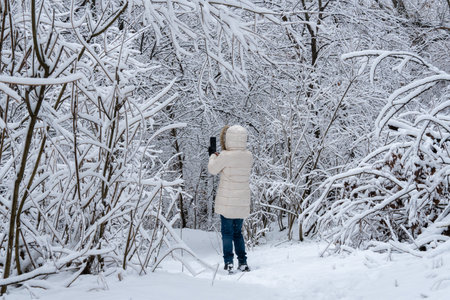 Woman walking in covered snow in winter forest. Young mature adult trekking after snowfall on road surrounded by white trees. Middle aged person hiking on park in cold weather.の写真素材