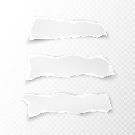 Set of white ripped pieces of paper on transparent background. vector illustrationのイラスト素材