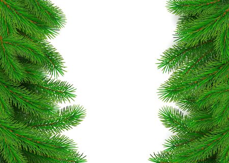 Green fir branches border. Christmas tree twig decoration element for banner and poster. New Year tree branches with bushy needles. Conifer holiday decor. Vectorのイラスト素材