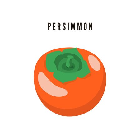 Persimmon. Japanese exotic dessert. Cartoon fruit. Vectorのイラスト素材