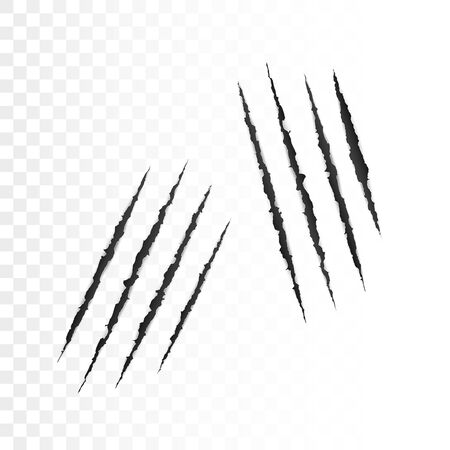 Wild animal claws scratches. Scary laceration paper surface. Torn paper edge. vector illustrationのイラスト素材