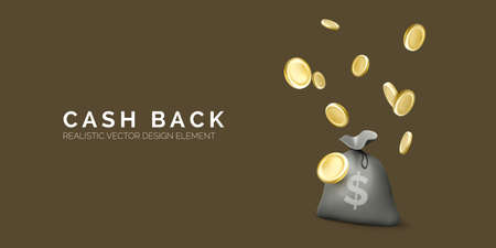Money bag with dollar sign and falling gold coins. Financial services or cash back concept. Return on investment. Fast cash loan. Easy credit or quick payment. Vector illustrationのイラスト素材